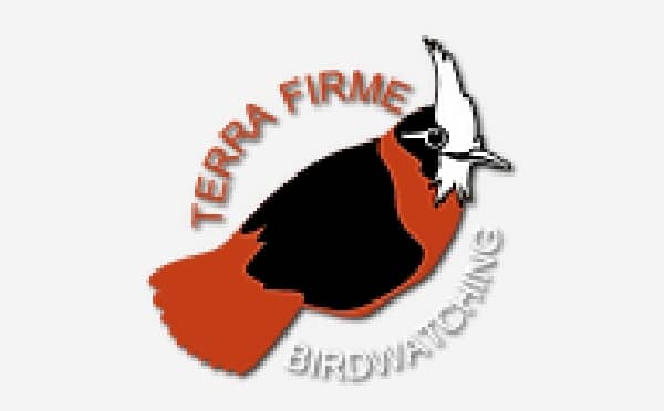 Logo Terra Firme